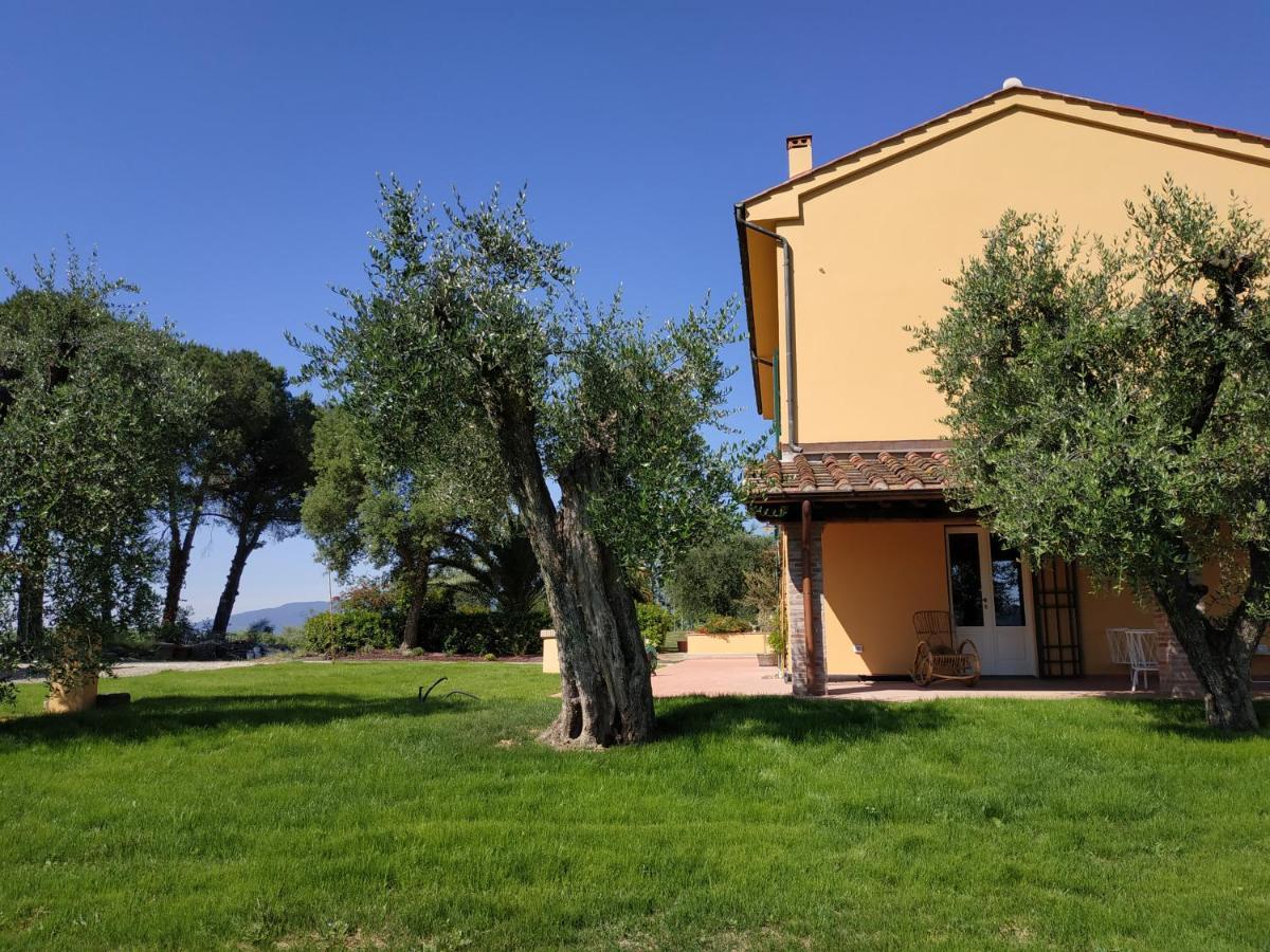 B&B La Casetta Montecarlo Εξωτερικό φωτογραφία